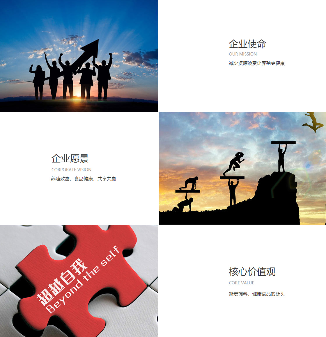 云顶国际网址(图1)